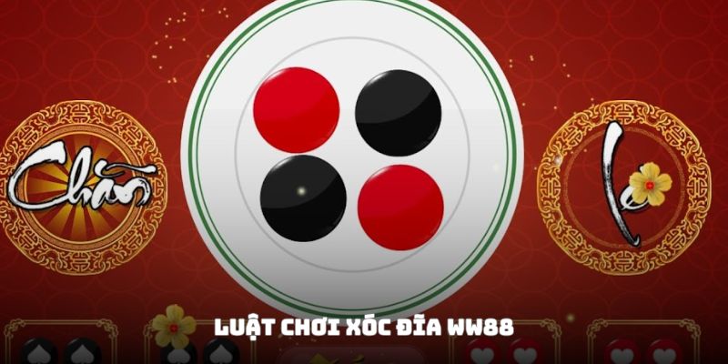 Quy tắc đặt cược chính xác trong trò chơi